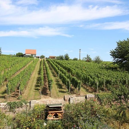 La Belle Alsacienne - Route Des Vins D'Alsace Ξενοδοχείο Hattstatt Εξωτερικό φωτογραφία