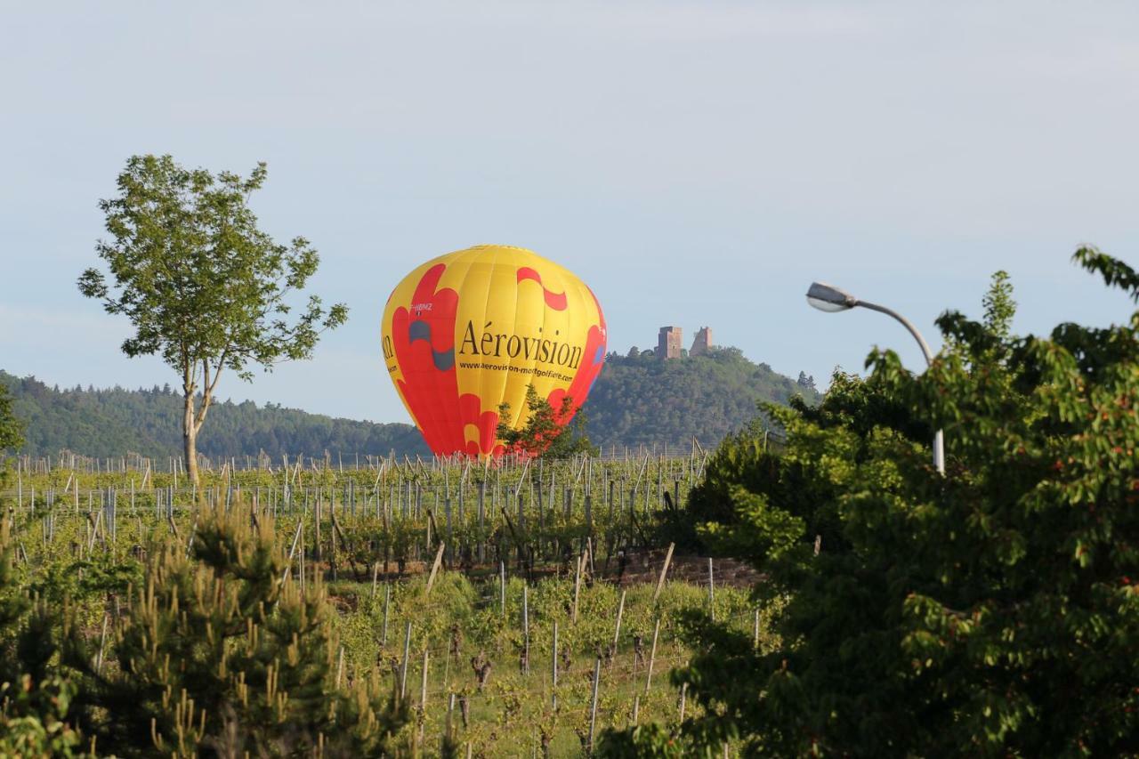 La Belle Alsacienne - Route Des Vins D'Alsace Ξενοδοχείο Hattstatt Δωμάτιο φωτογραφία