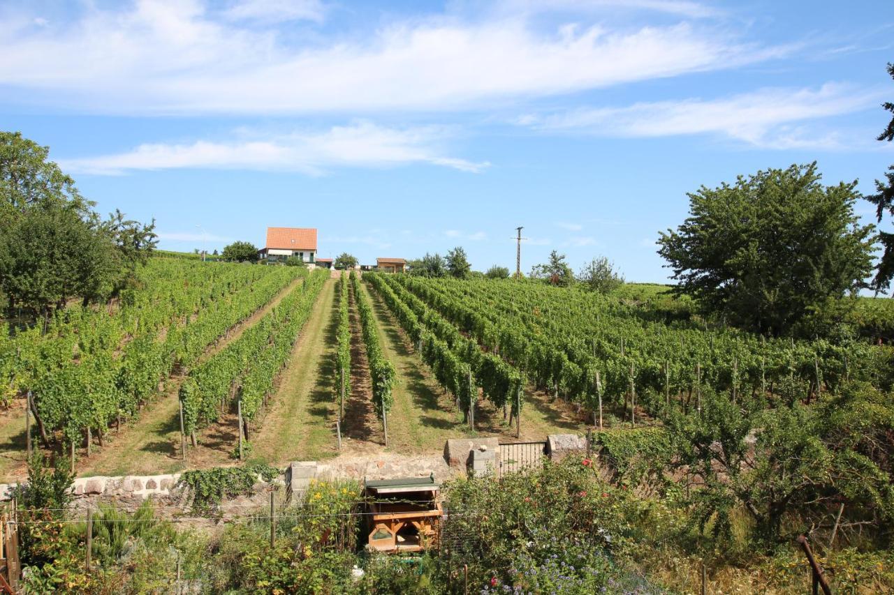 La Belle Alsacienne - Route Des Vins D'Alsace Ξενοδοχείο Hattstatt Εξωτερικό φωτογραφία